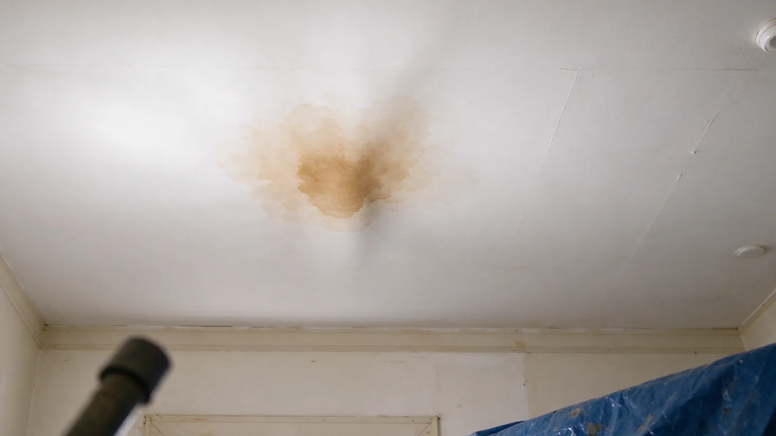 Water-stained ceiling below a bathroom with a cut-out section showing a corroded galvanized elbow, a phone taking a photo of it